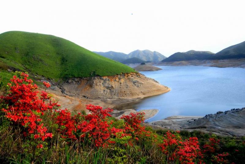 1626398980525457.jpg 全州3.jpg